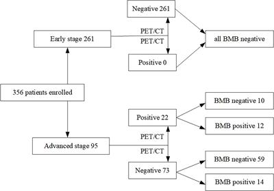 18F-FDG PET/CT Plays a Limited Role in Replacing Bone Marrow Biopsy for Newly Diagnosed Advanced-Stage Patients With Extranodal Natural Killer/T-Cell Lymphoma